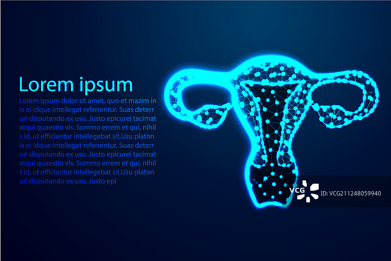 女性生殖系统人体解剖抽象图图片素材