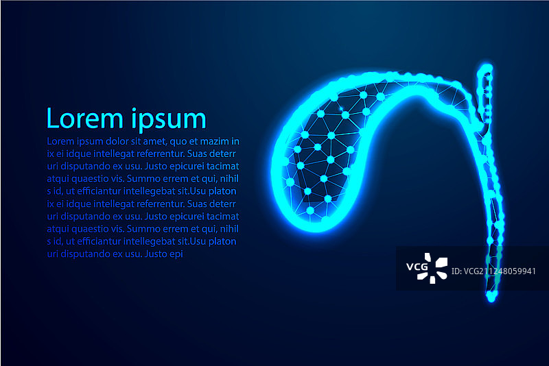 人体解剖胆囊抽象低多边形图片素材