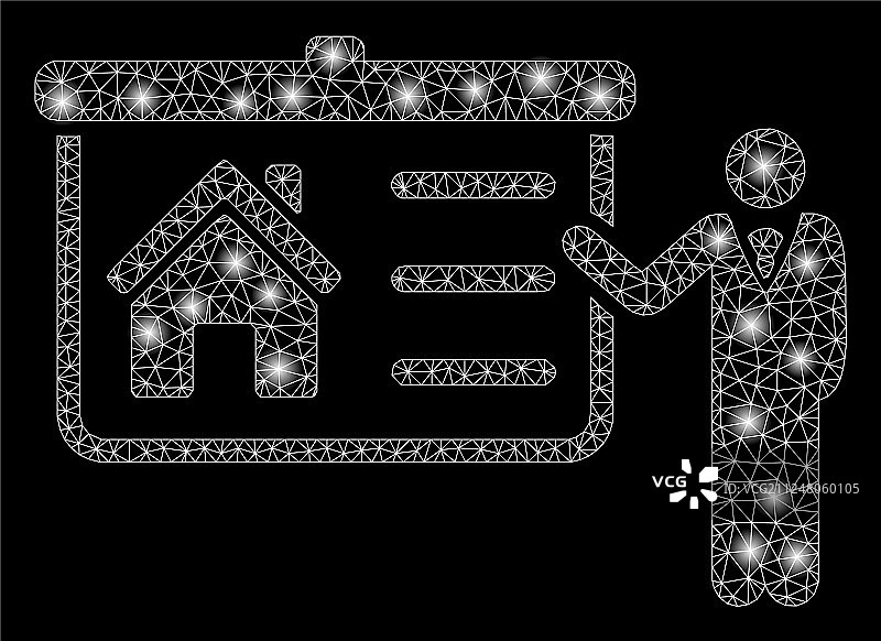 明亮网格骨架房屋演示与闪光图片素材