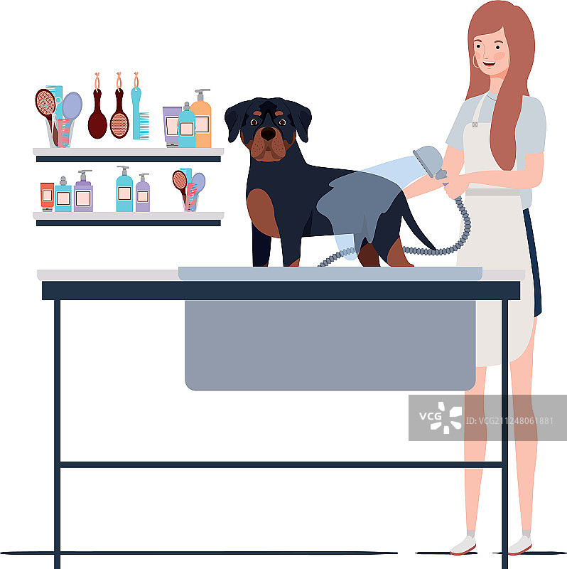 在宠物美容店抱着小狗的年轻女人图片素材