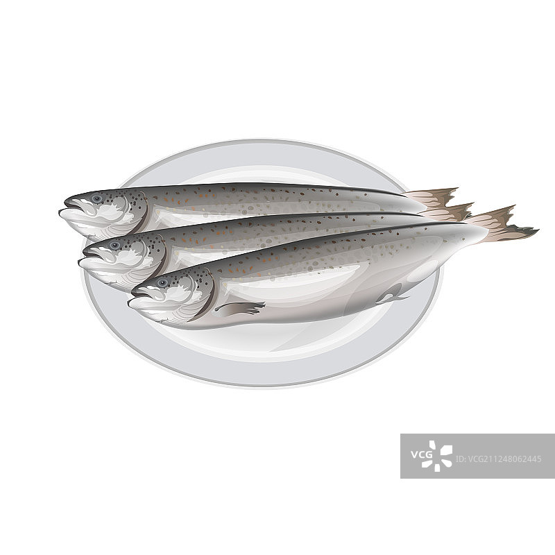 盘子上的三文鱼图片素材