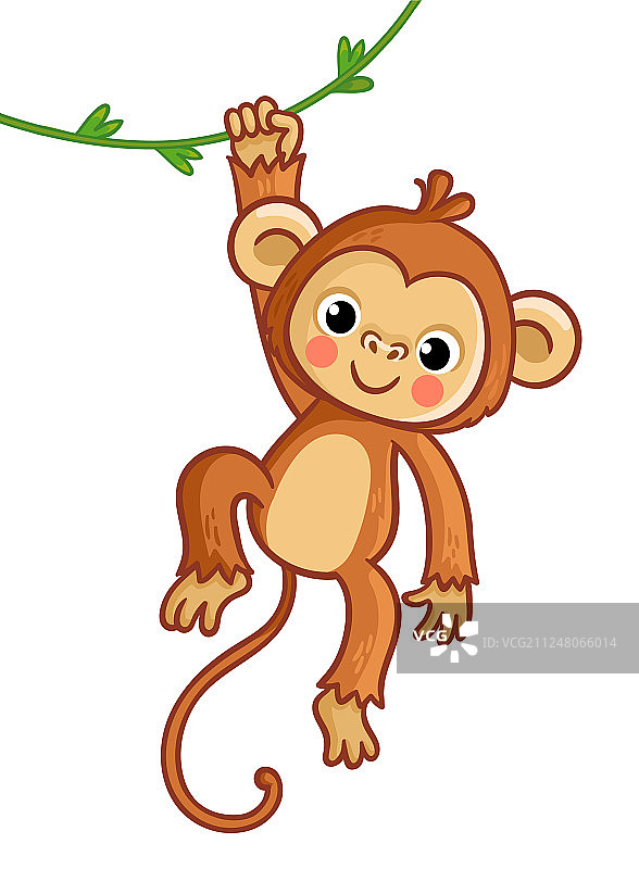 可爱的猴子挂在藤蔓上图片素材