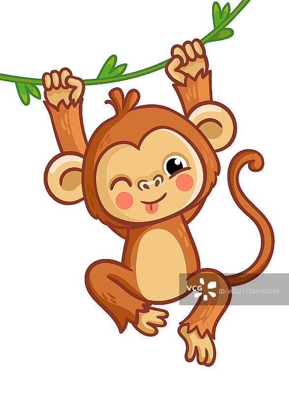 猴子眨眼，悬挂在树上图片素材