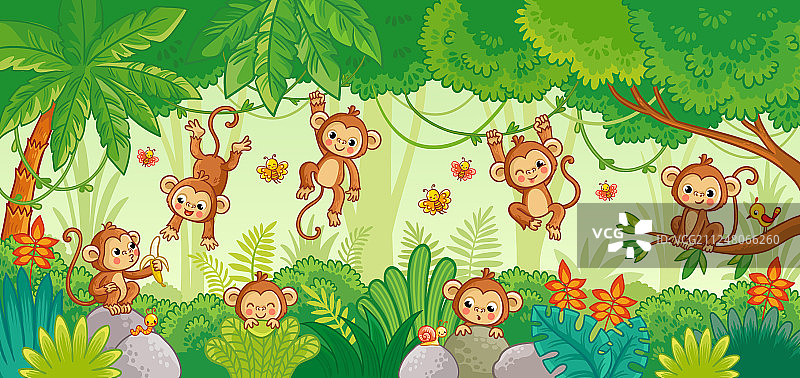 丛林中各种姿势的猴子合集图片素材