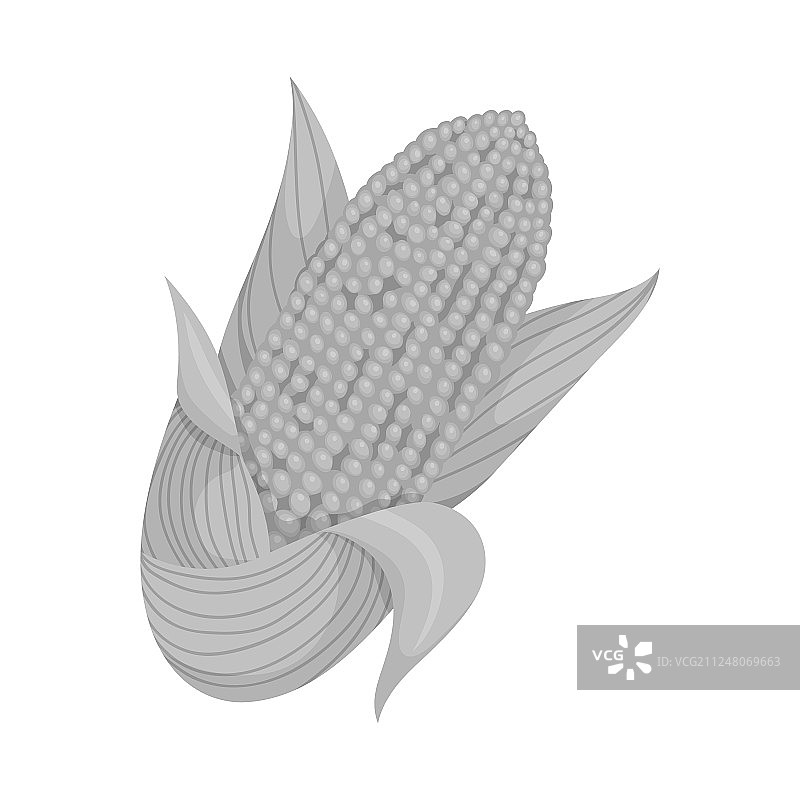 玉米棒和玉米标志合集图片素材