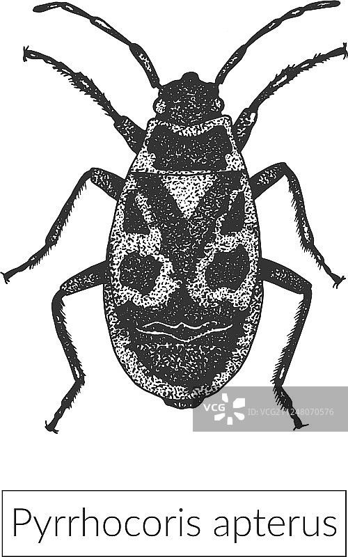 高精度微距绘画图片素材