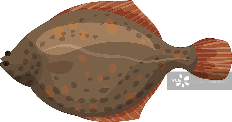 棕色比目鱼的扁平设计细节图片素材