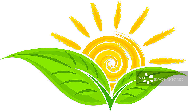阳光绿植标志图片素材