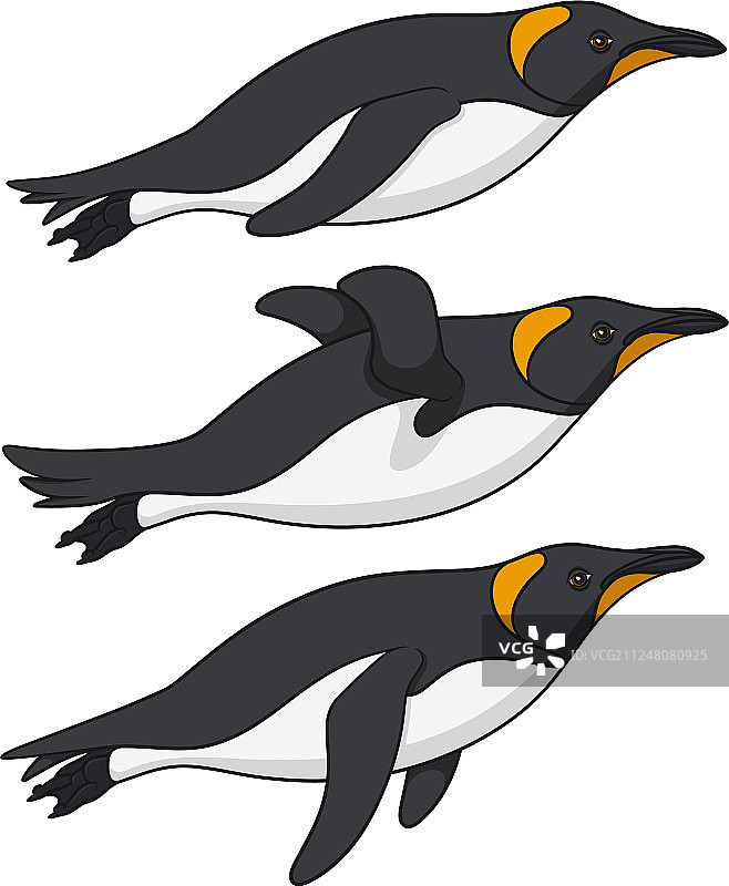 企鹅游泳彩色图案图片素材