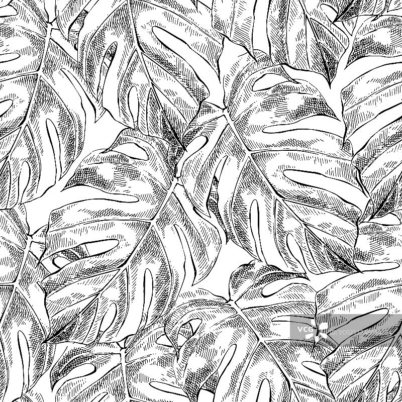 手绘龟背竹叶无缝图案图片素材