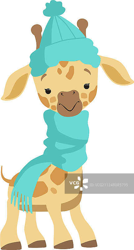 戴着蓝色针织帽的可爱小长颈鹿图片素材