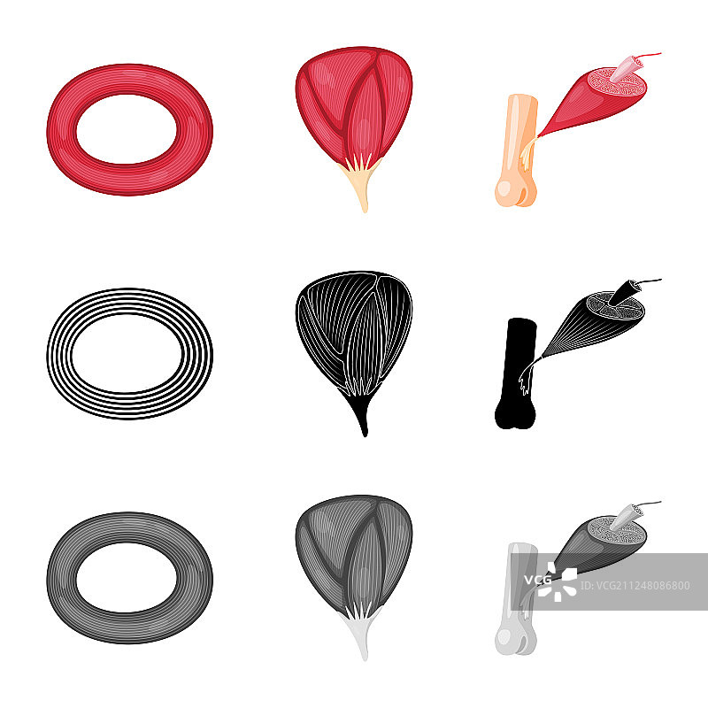 纤维和健壮男人标志图片素材