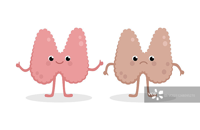 健康与不健康甲状腺对比图片素材
