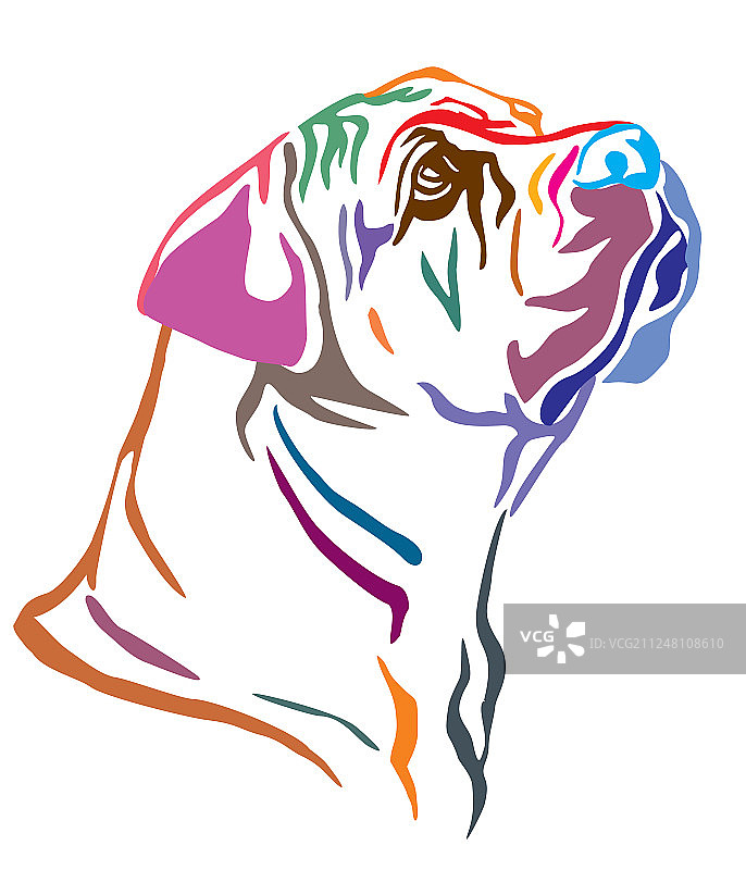 彩色装饰性南非獒犬肖像图片素材