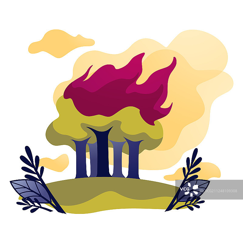 森林树木中的野火生态问题图片素材