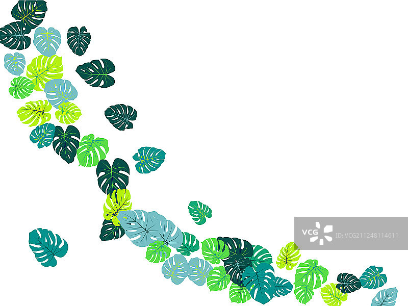 异域丛林植物热带树叶图案图片素材