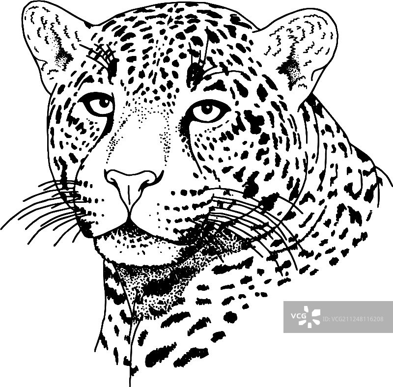 豹脸纹身印花图片素材
