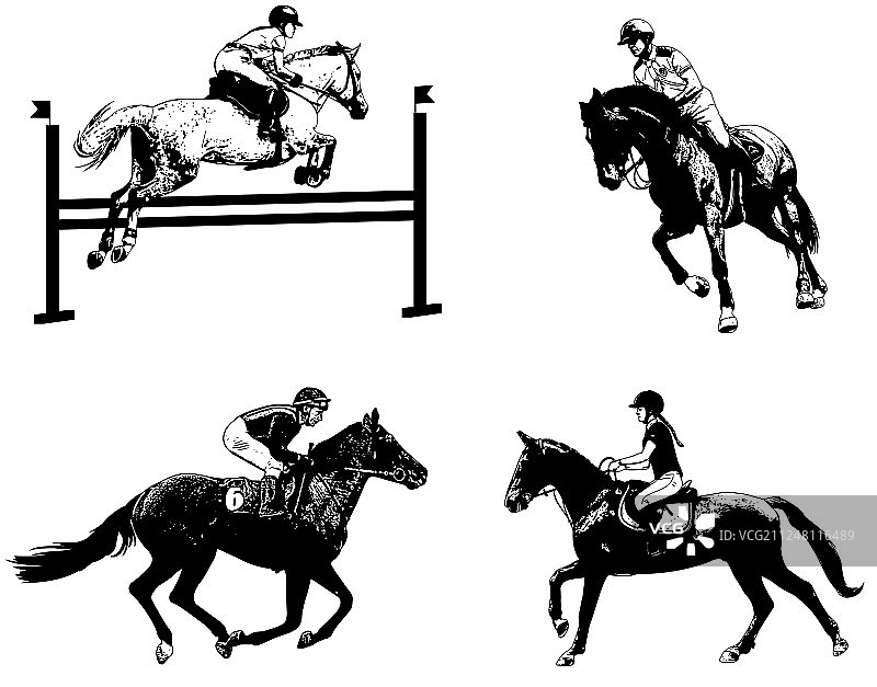 马术运动套装速写图片素材