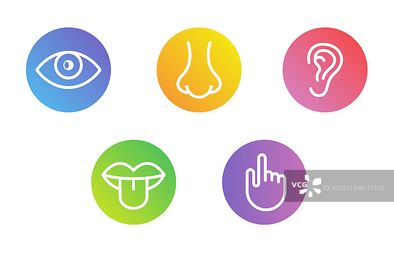 人体五感：视觉、嗅觉、听觉图片素材