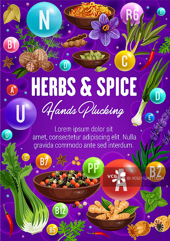 香料调味料和有机草药中的维生素图片素材
