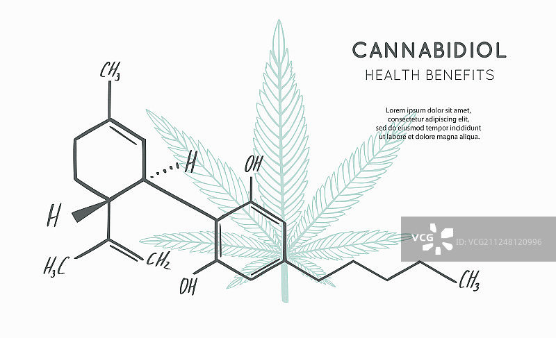 含CBD配方的banner海报背景图片素材