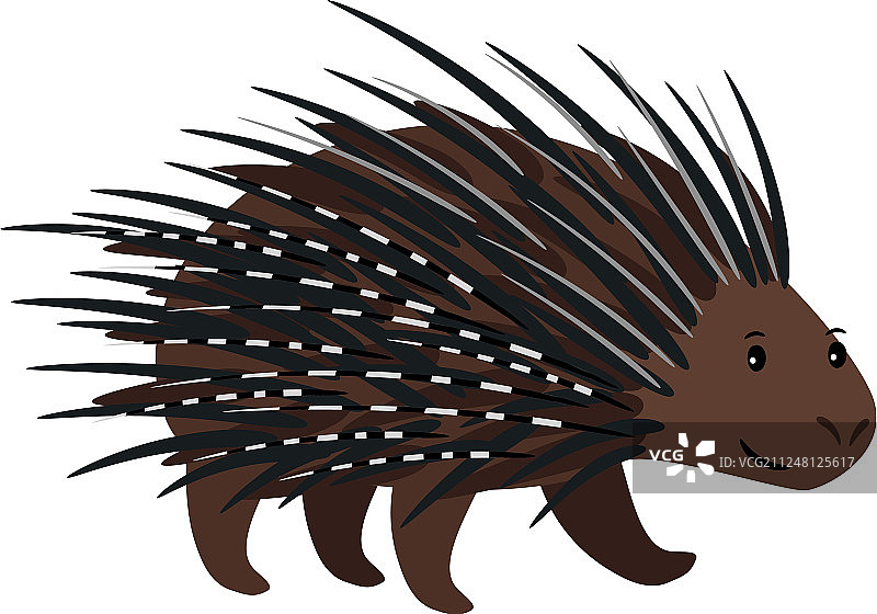 白色背景上的豪猪图标图片素材