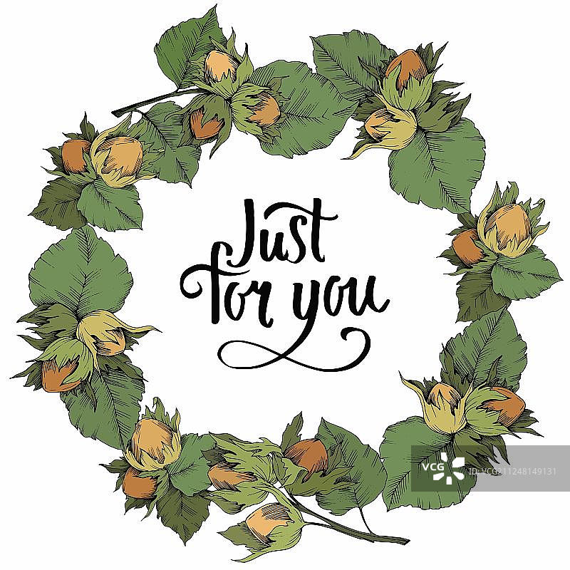 秋季植物榛子叶矢量边框素材图片素材