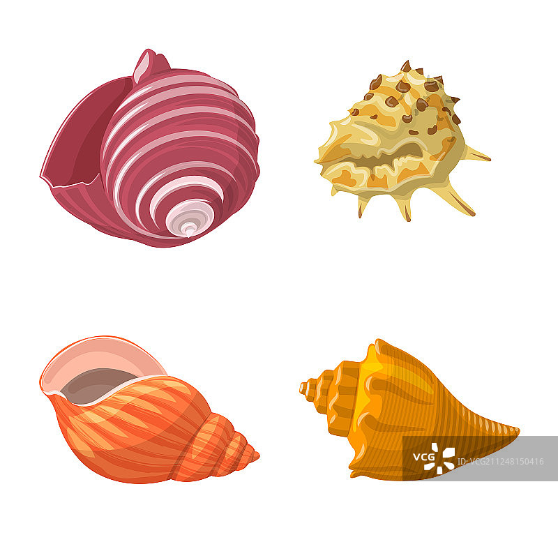 贝壳和软体动物标志设计合集图片素材