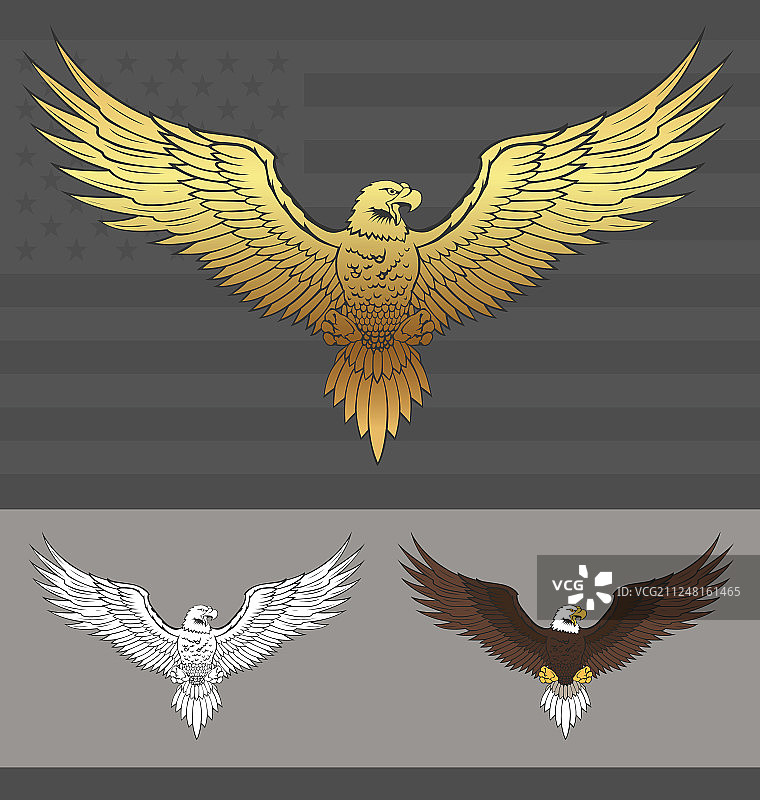 展开翅膀的美国鹰图片素材