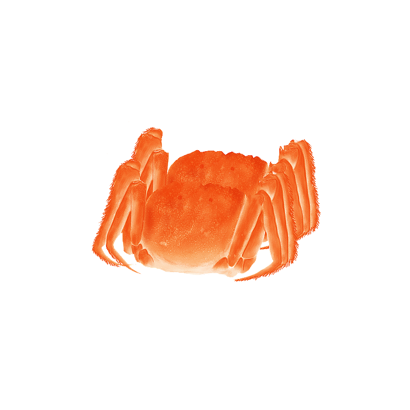 橙红色的大闸蟹图片素材