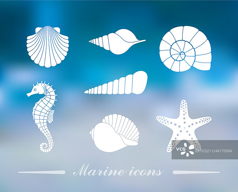 海螺、海马和海星剪影图片素材