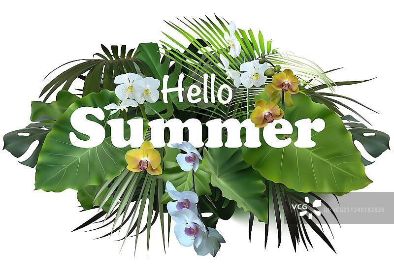 夏日热带banner或宣传单设计图片素材