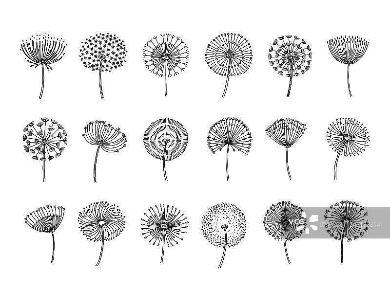 蒲公英涂鸦手绘蒲公英图片素材