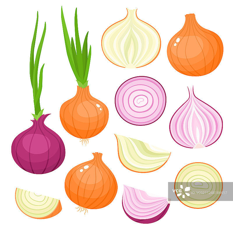卡通红黄洋葱合集图片素材