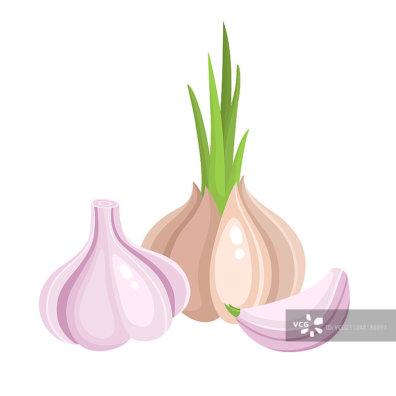 明亮的多彩物品合集图片素材