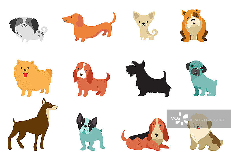 有趣的狗狗合集图片素材