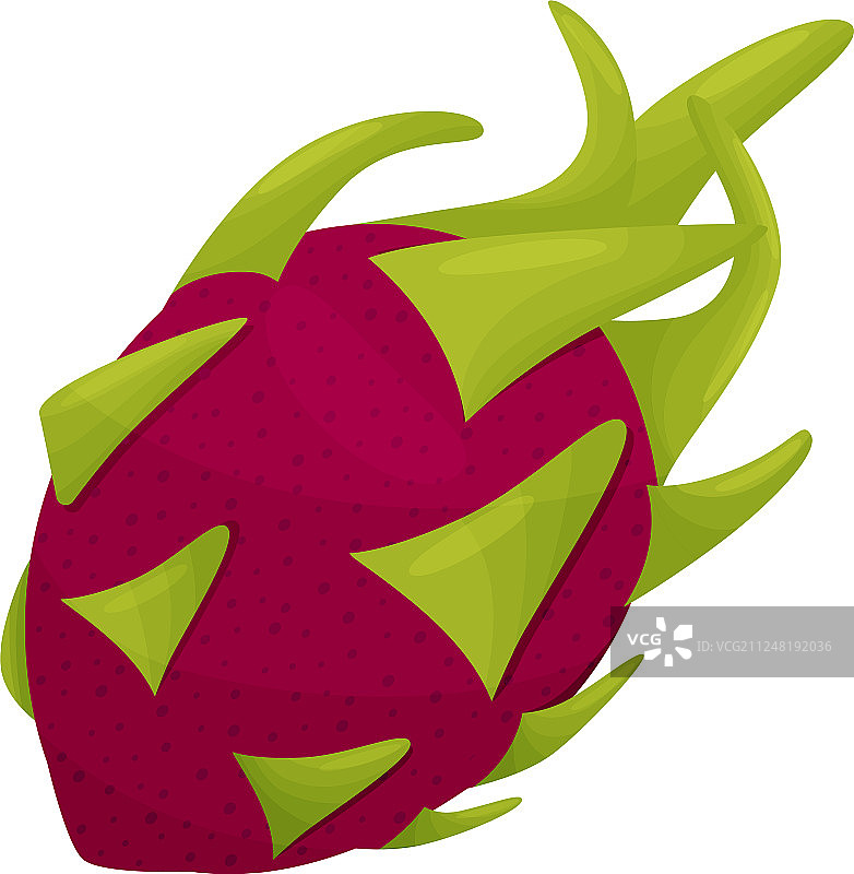 白色背景上的成熟红龙果特写图片素材