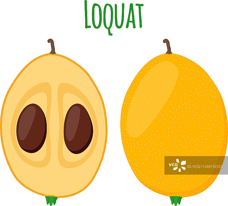 卡通扁平风格枇杷热带水果图片素材