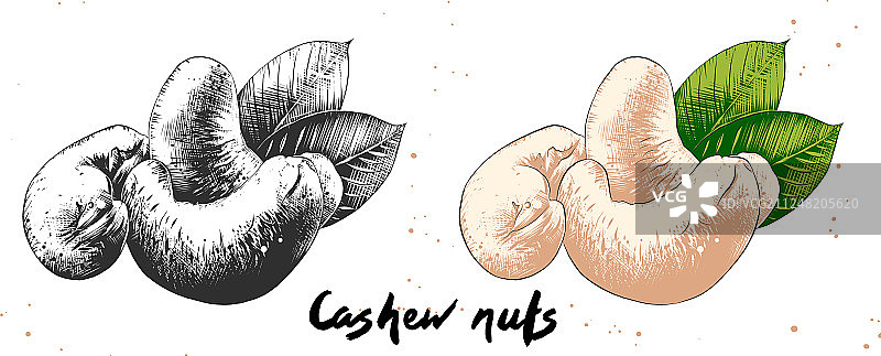 海报装饰有机雕刻风格图片素材