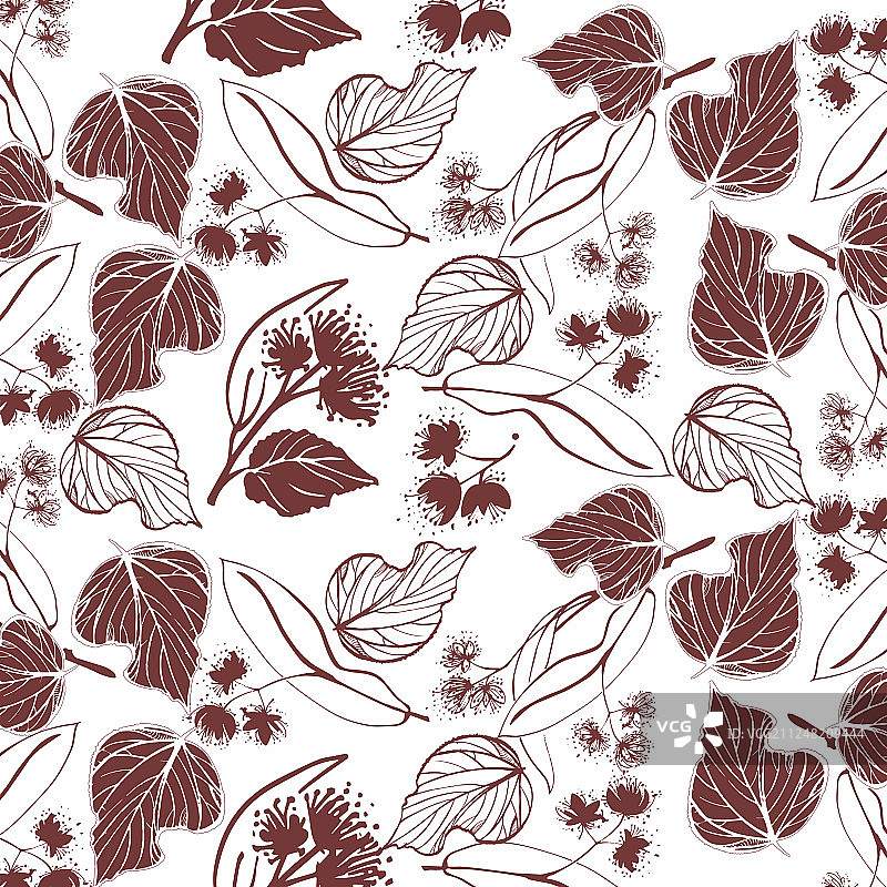 手绘椴树枝叶与花朵图片素材