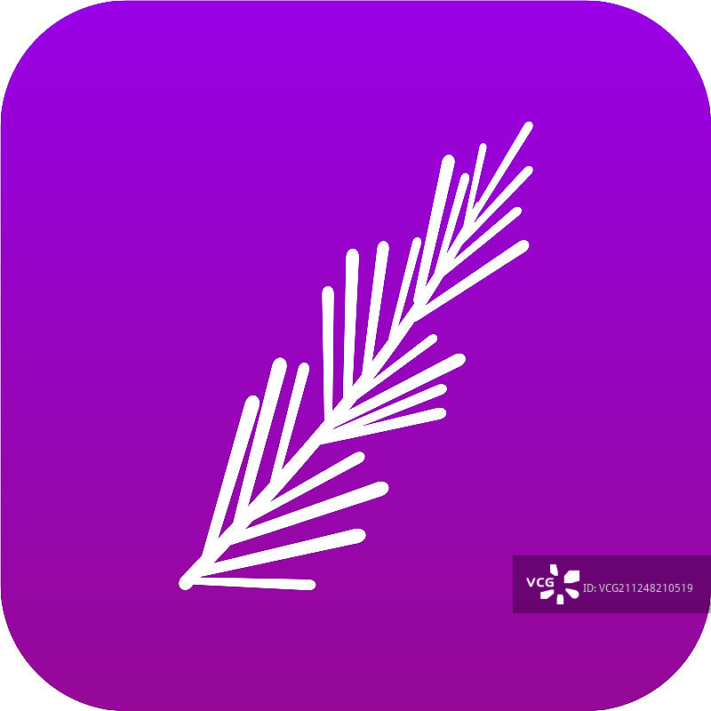 迷迭香香料图标数字紫色图片素材