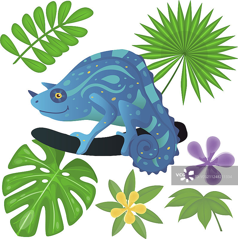 树上和丛林植物中的鬣蜥图片素材