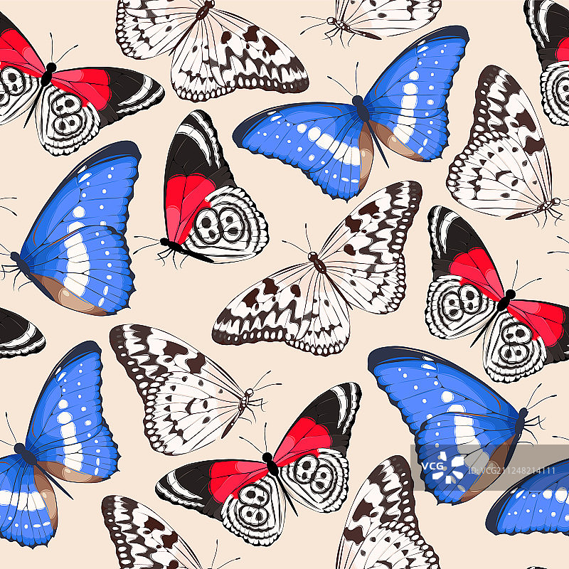 彩色蝴蝶无缝图案图片素材