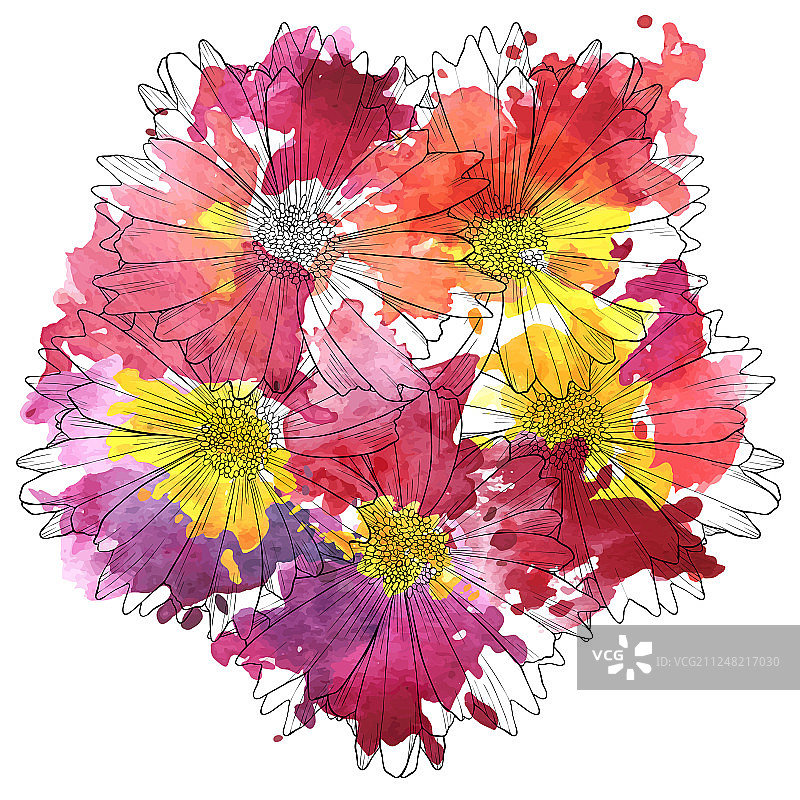 百合花绘画图片素材