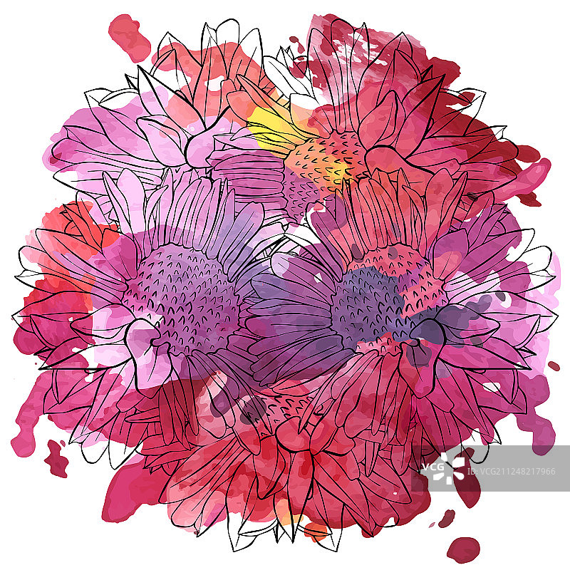 百合花绘画图片素材