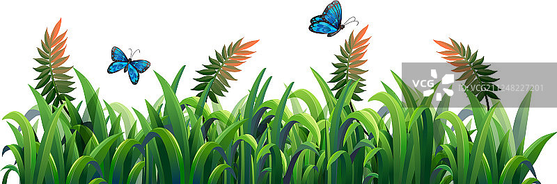 装饰用花草图片素材