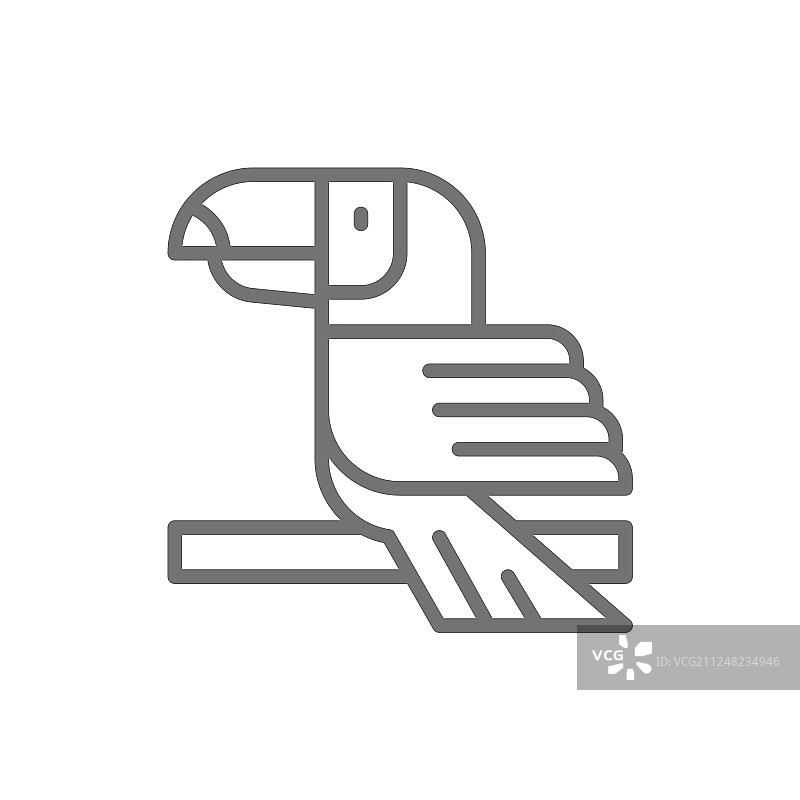 巨嘴鸟热带鸟类线性图标图片素材