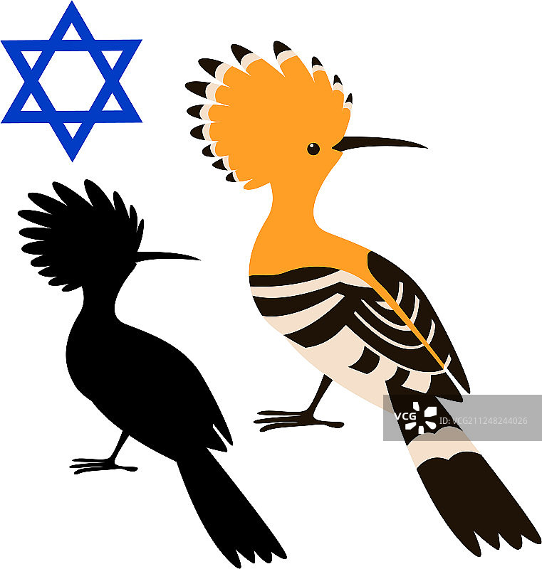 戴胜鸟扁平风格图片素材