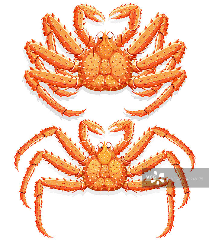 阿拉斯加帝王蟹图片素材
