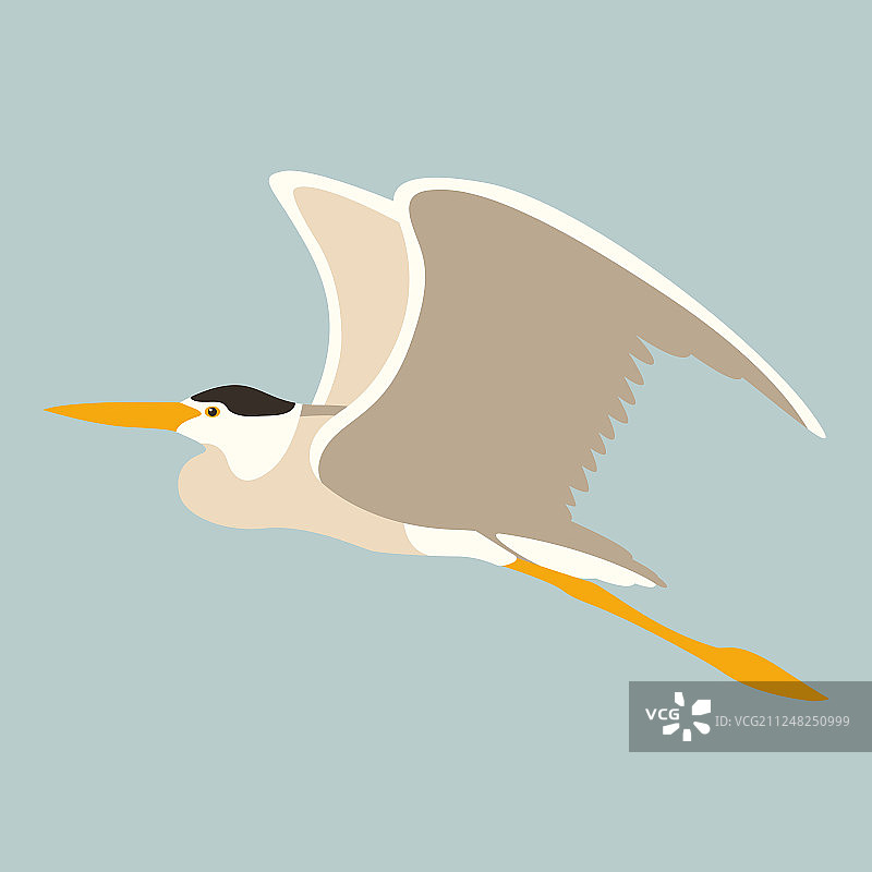 扁平风格飞翔的苍鹭图片素材